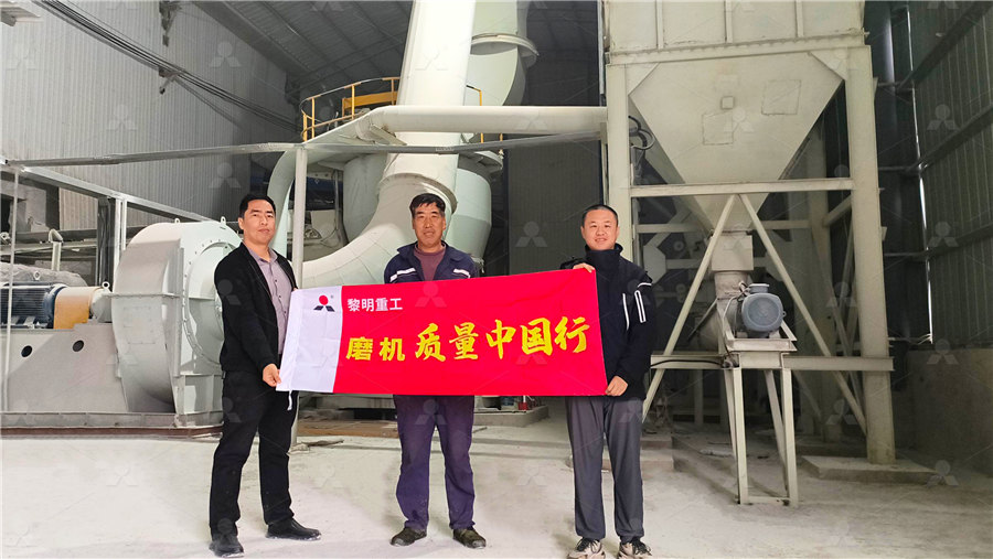 大型工厂化循环水养殖系统  